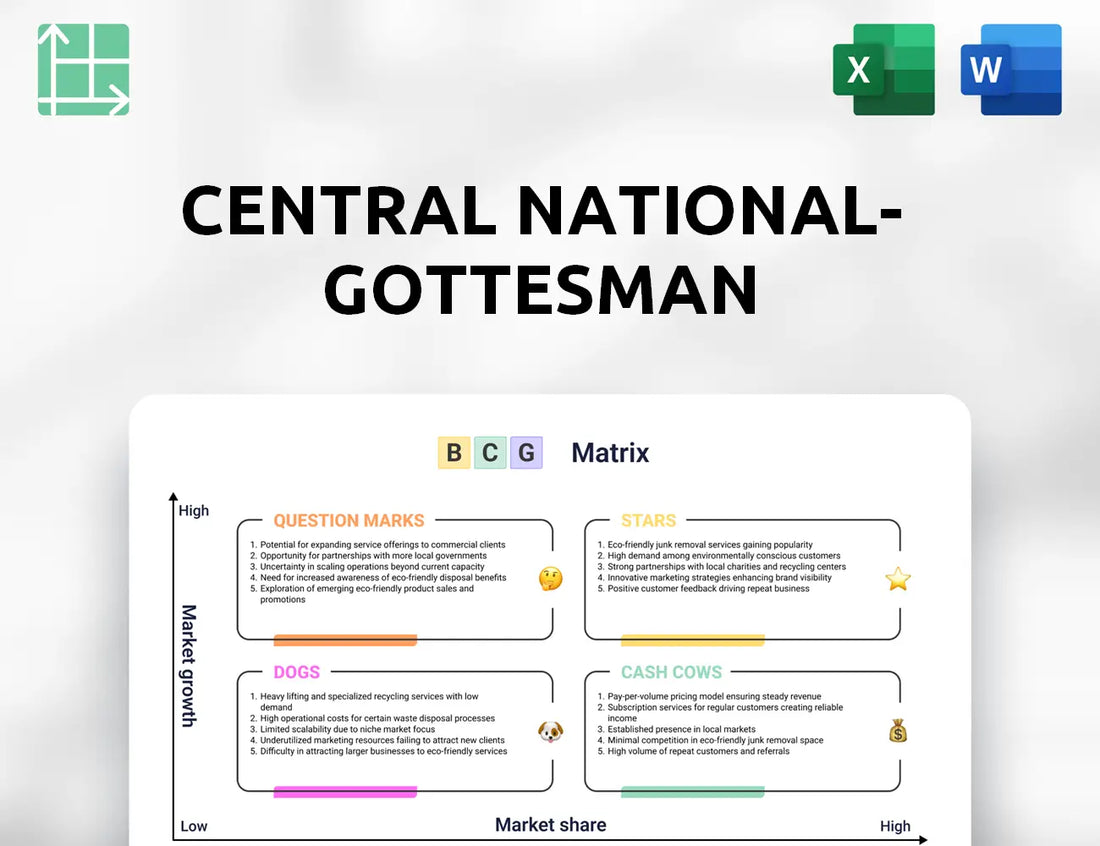 Central National-Gottesman Boston Consulting Group Matrix