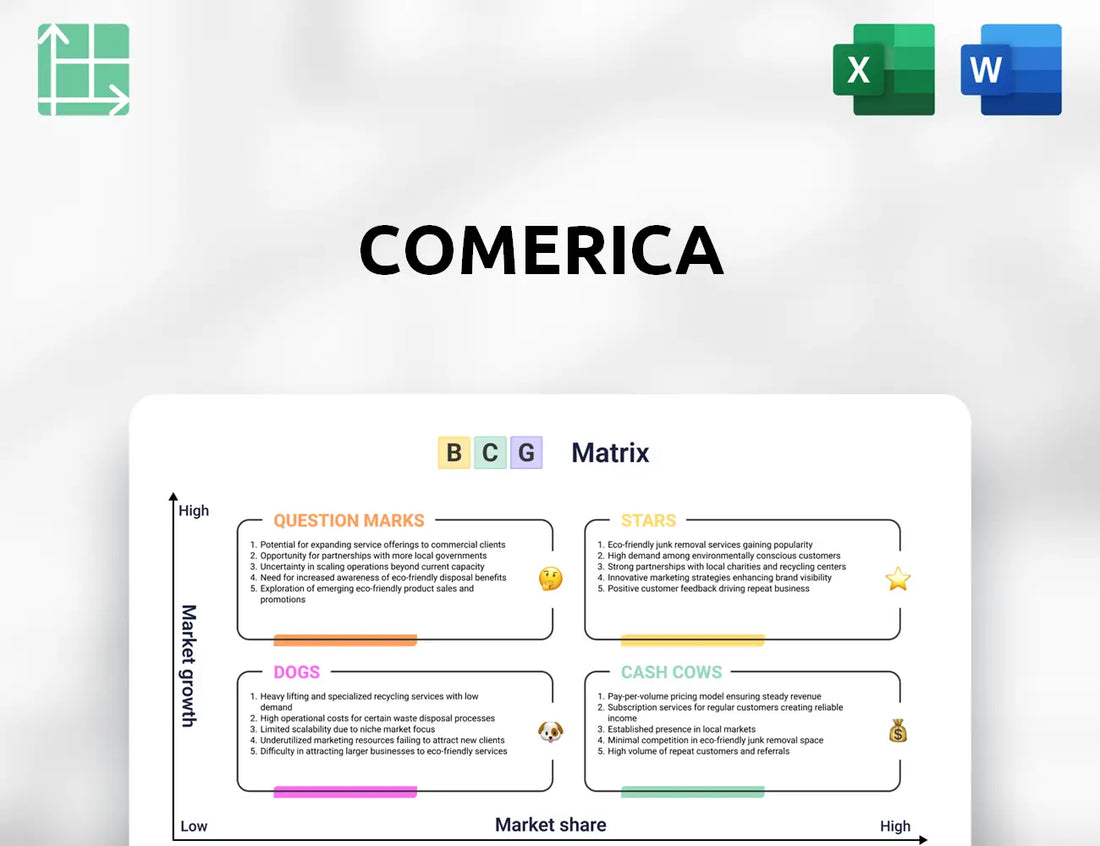 Comerica Boston Consulting Group Matrix