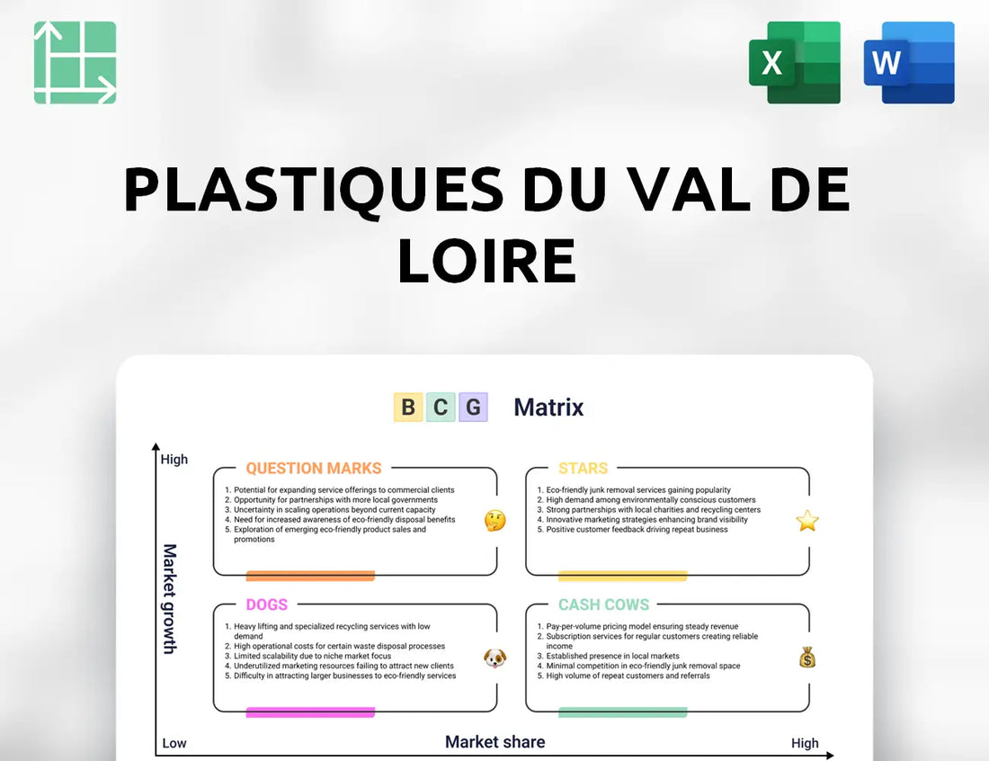 Plastiques du Val de Loire Boston Consulting Group Matrix