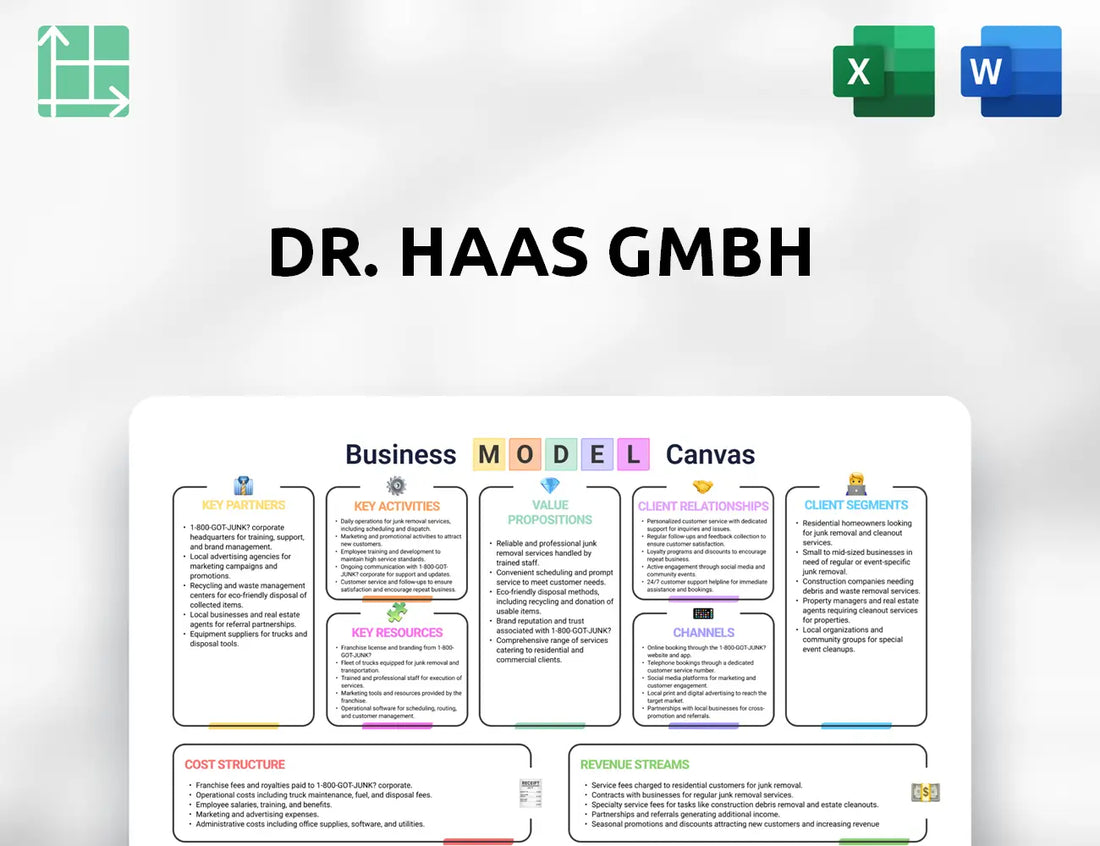 Dr. Haas GmbH Business Model Canvas