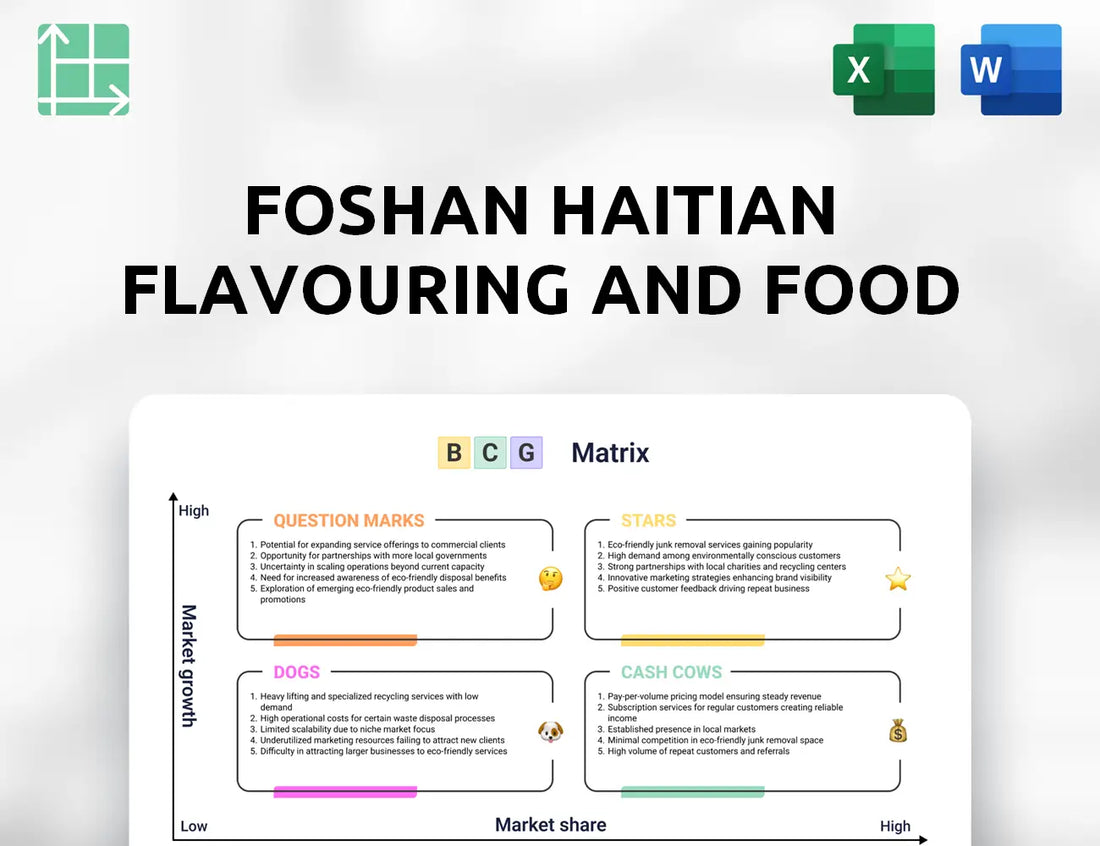 Foshan Haitian Flavouring and Food Boston Consulting Group Matrix