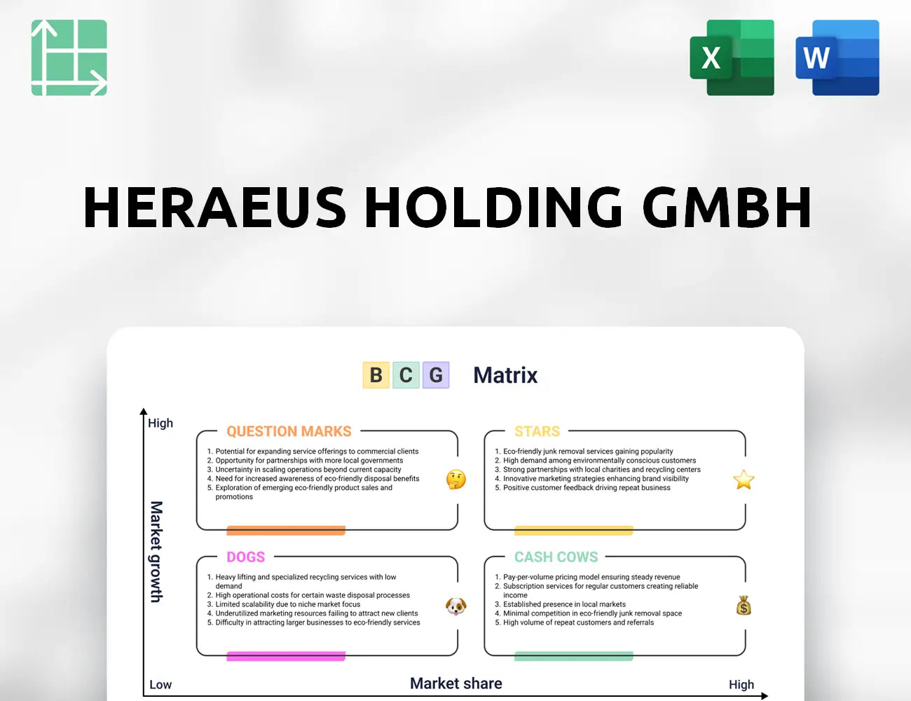 Heraeus Holding GmbH Boston Consulting Group Matrix