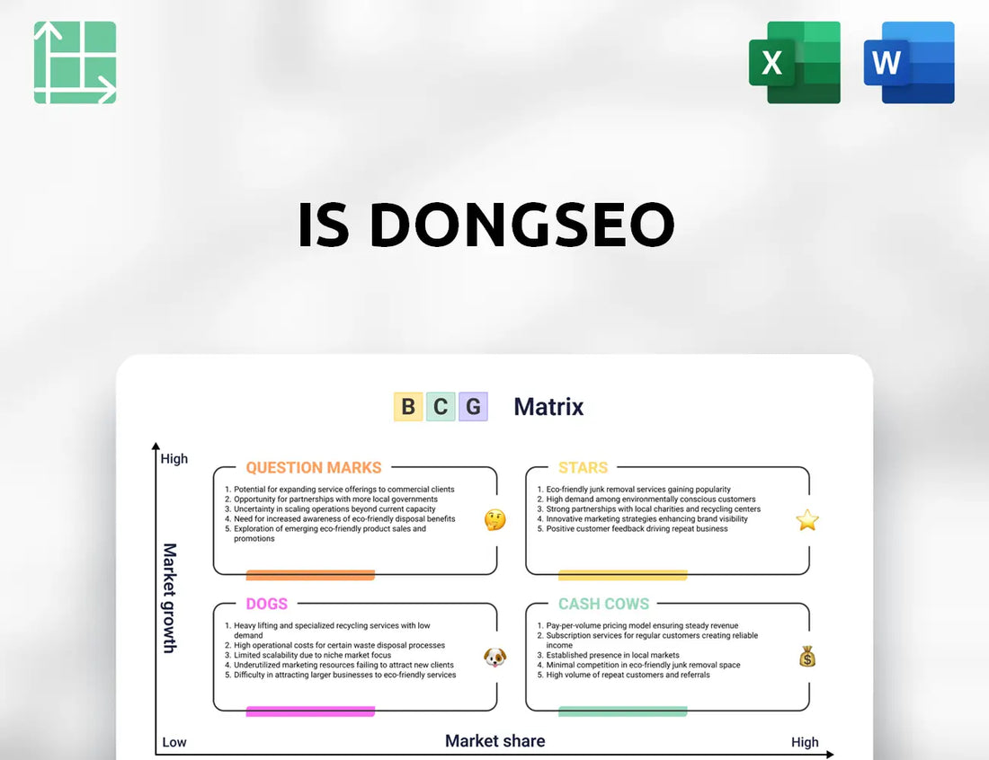IS DongSeo Boston Consulting Group Matrix