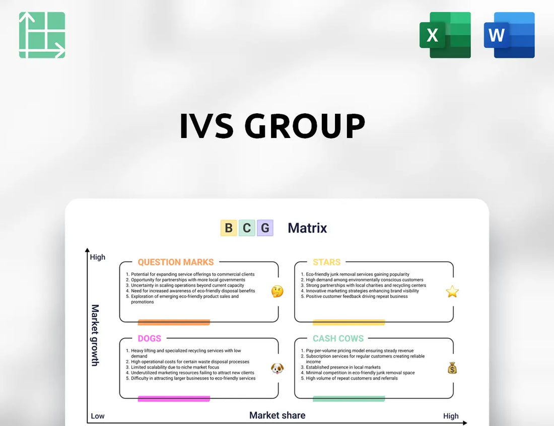 IVS Group Boston Consulting Group Matrix
