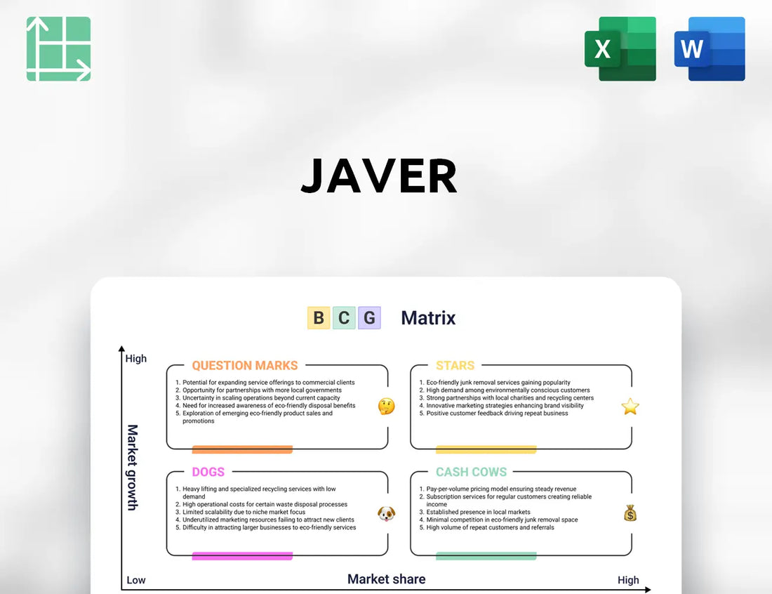 Javer Boston Consulting Group Matrix