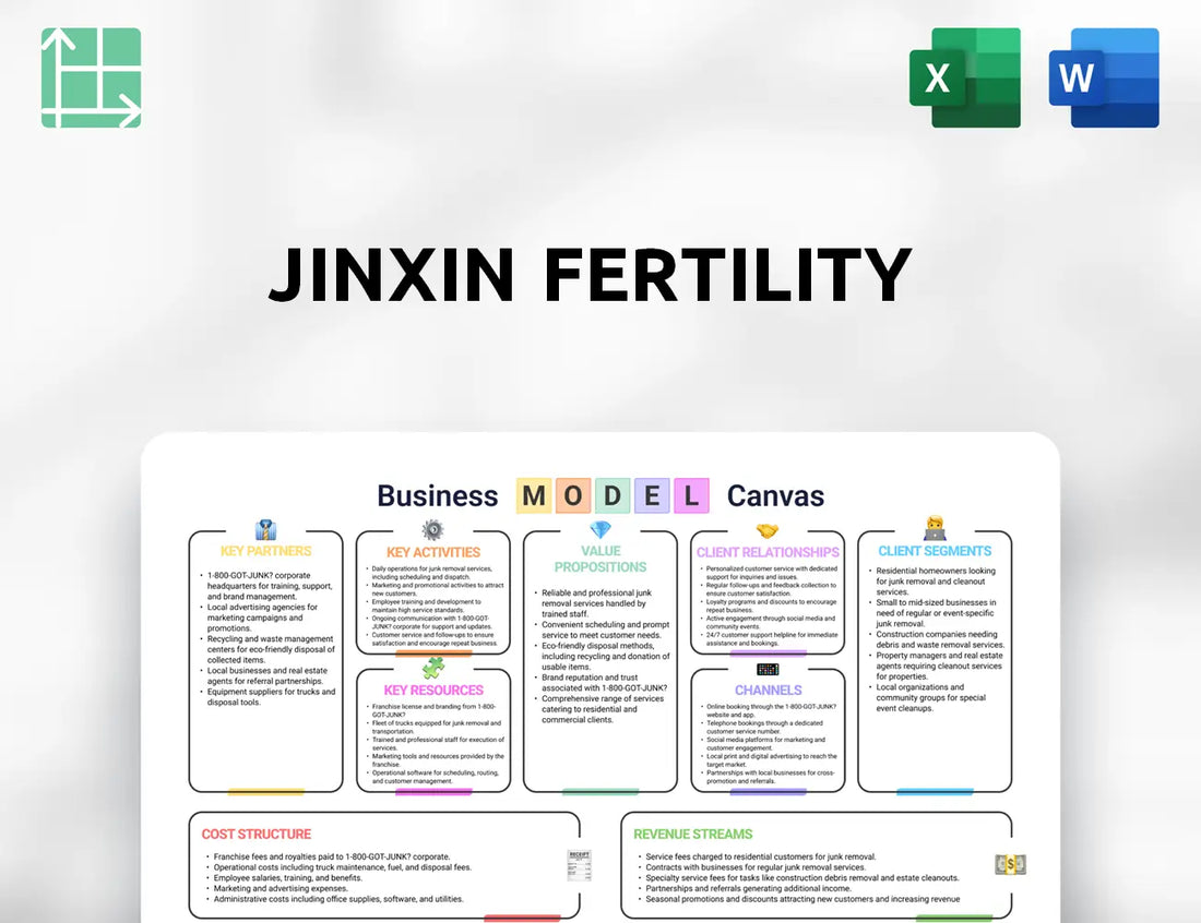 Jinxin Fertility Business Model Canvas