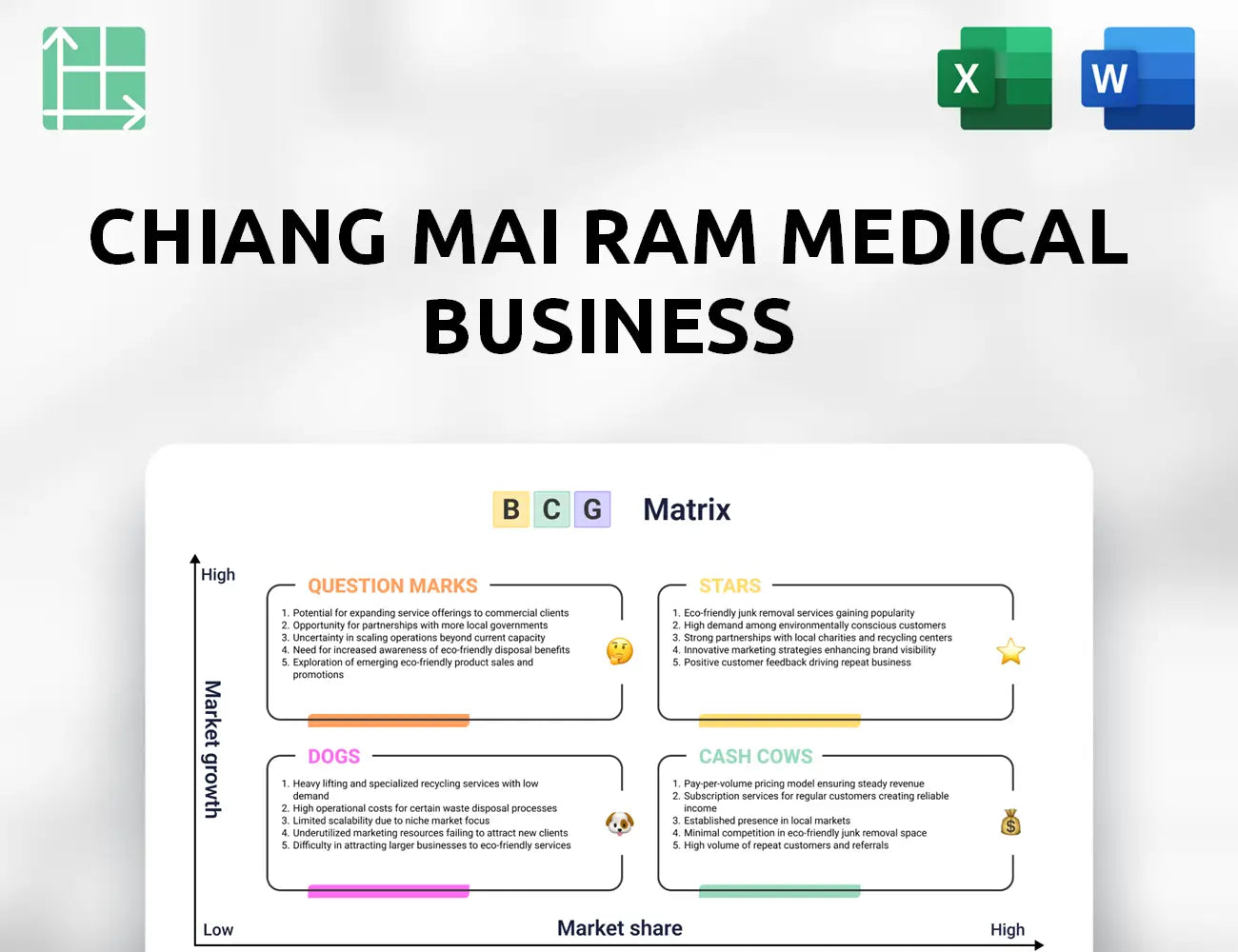 Chiang Mai Ram Medical Business Boston Consulting Group Matrix