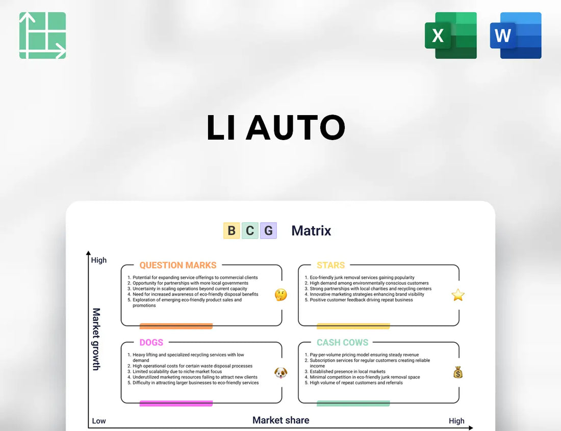 Li Auto Boston Consulting Group Matrix