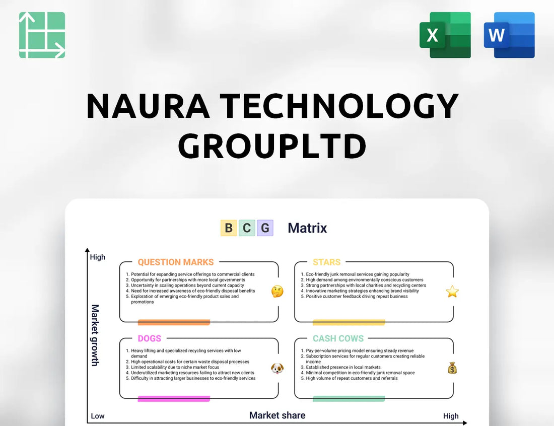 NAURA Technology GroupLtd Boston Consulting Group Matrix