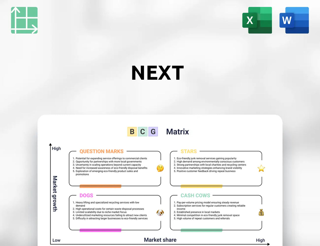 Next Boston Consulting Group Matrix