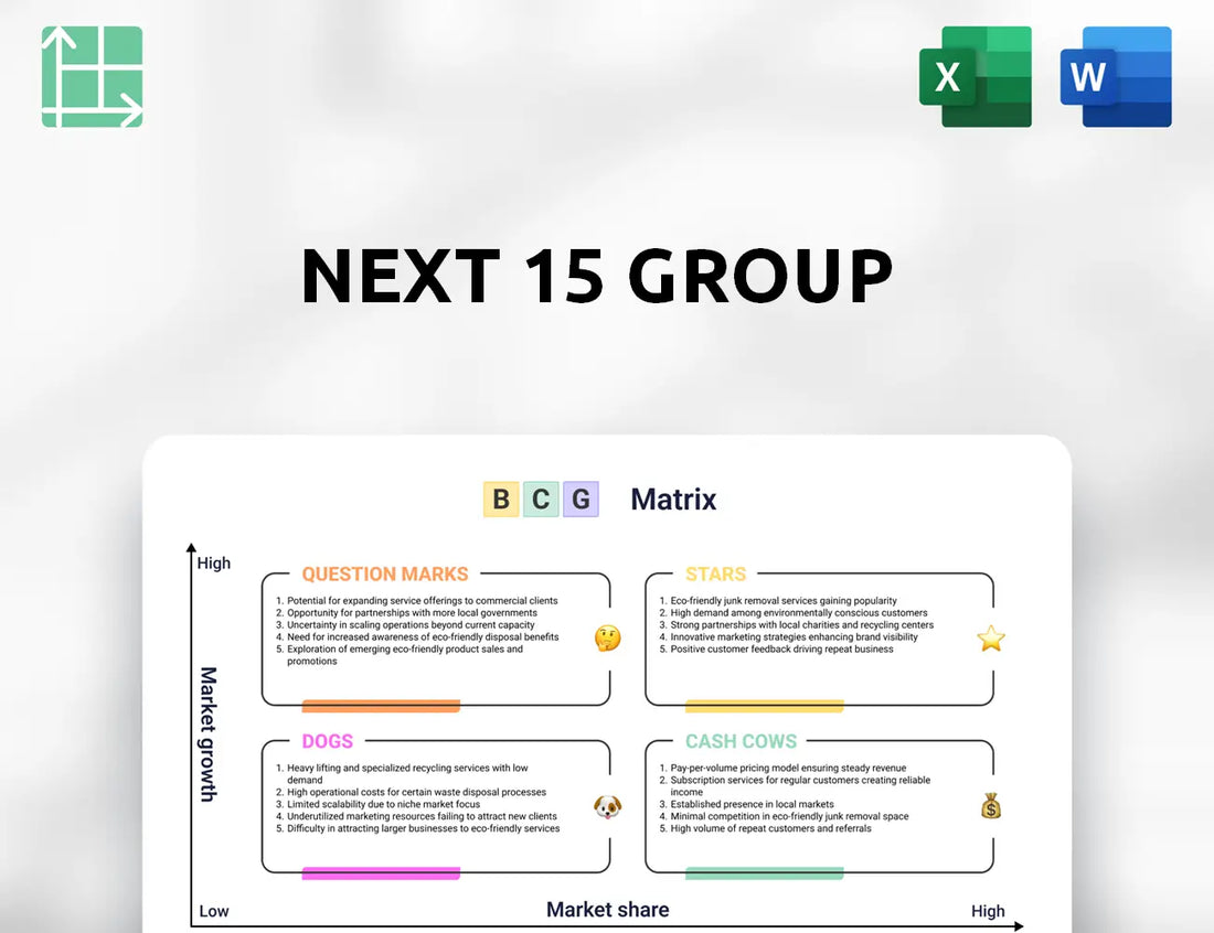 Next 15 Group Boston Consulting Group Matrix
