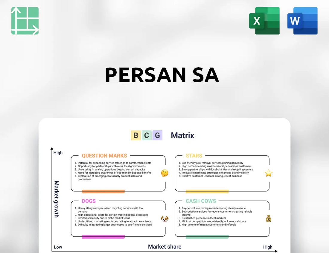 Persan SA Boston Consulting Group Matrix