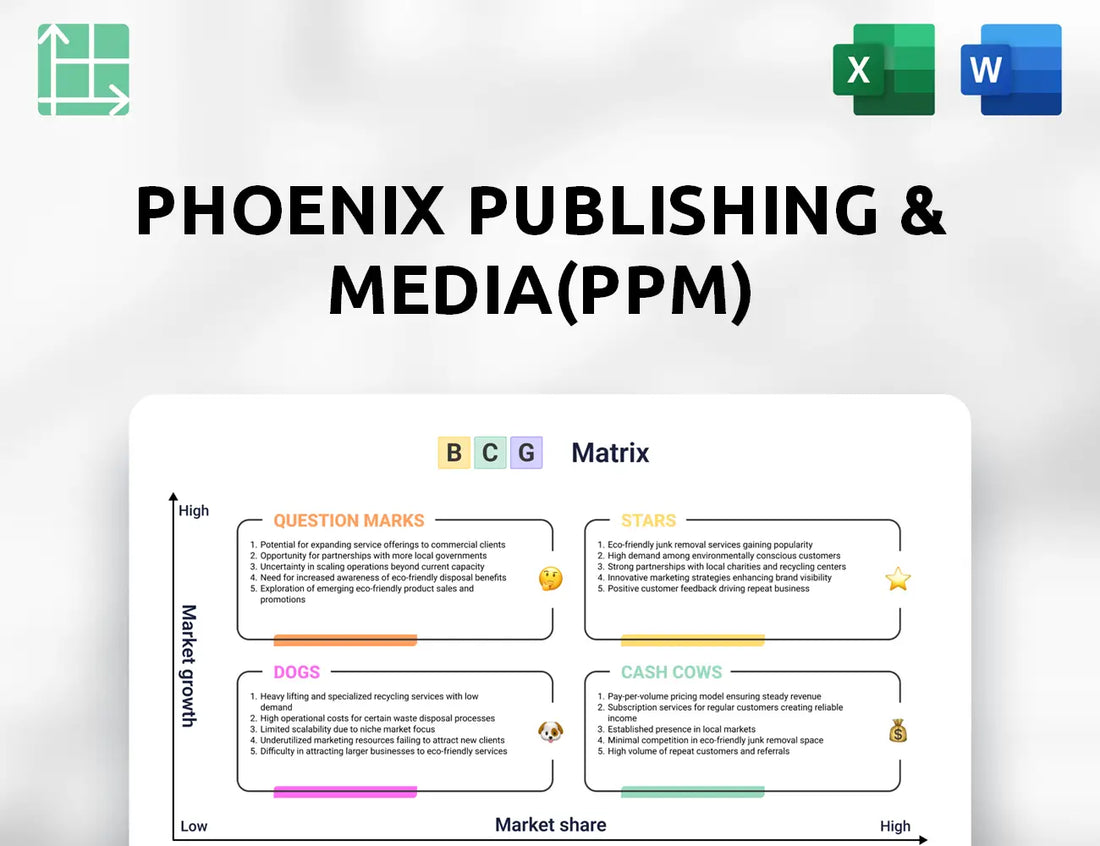 Phoenix Publishing & Media(PPM) Boston Consulting Group Matrix