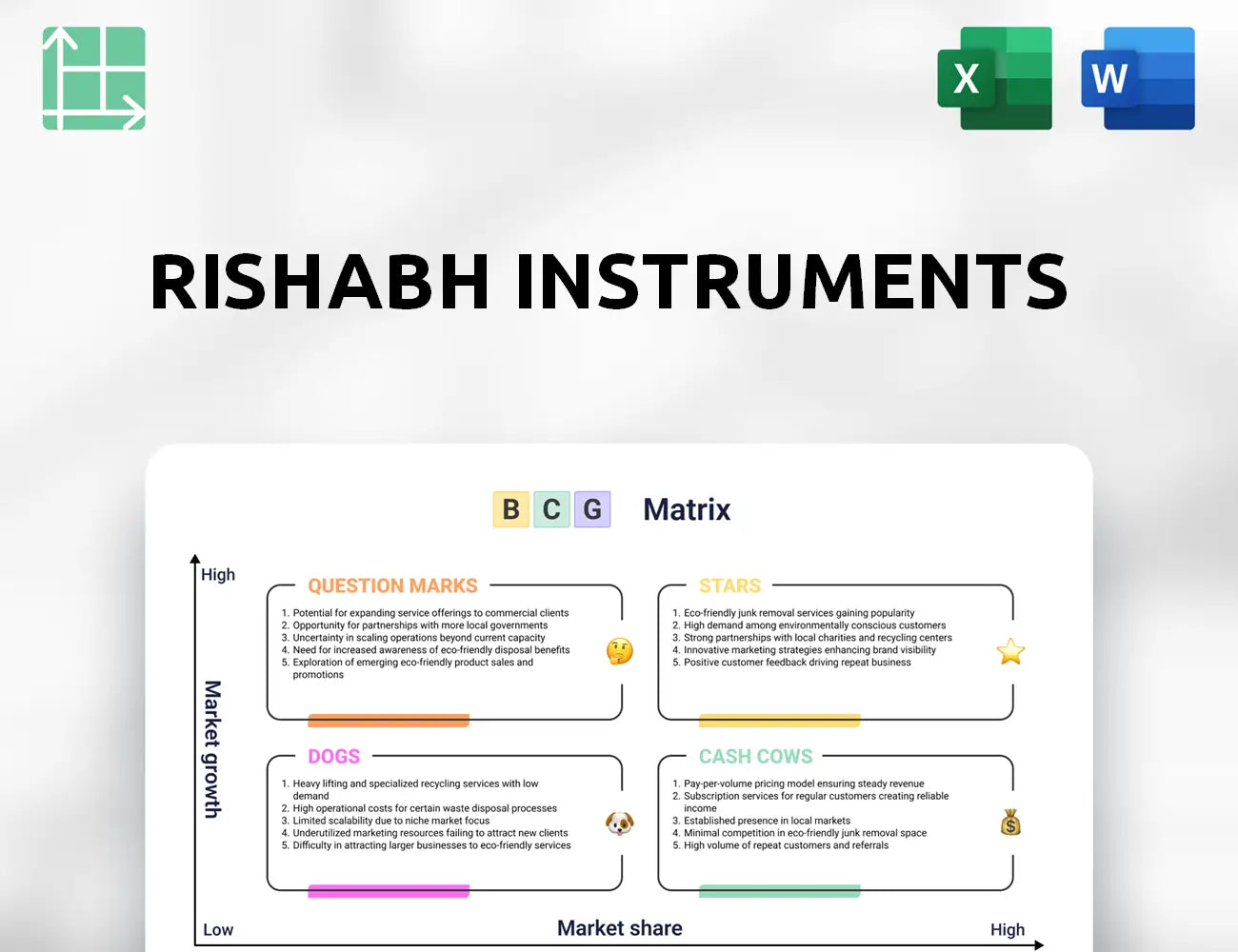 Rishabh Instruments Boston Consulting Group Matrix
