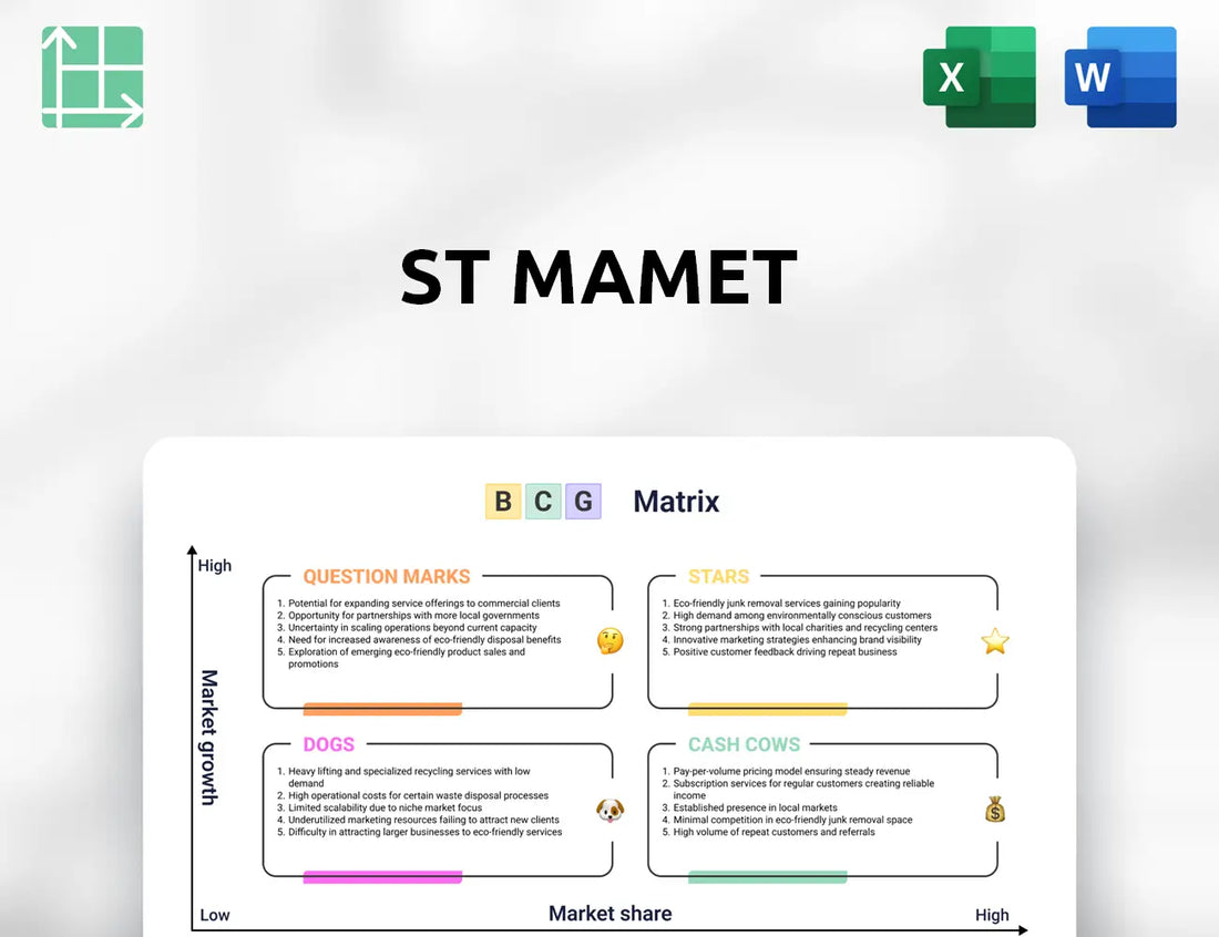 St Mamet Boston Consulting Group Matrix