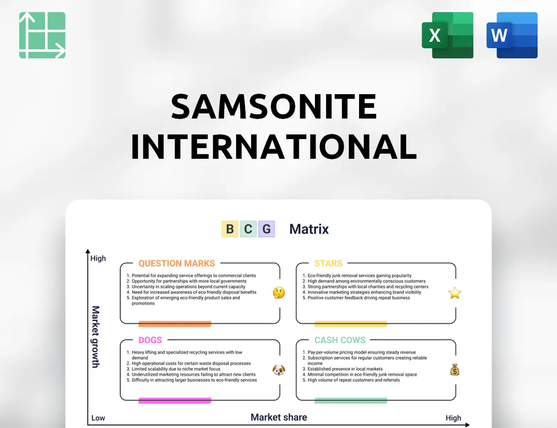 Samsonite International Boston Consulting Group Matrix
