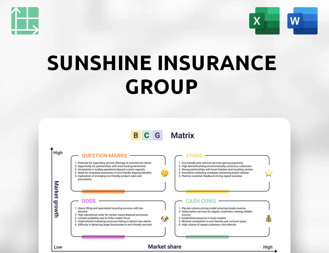 Sunshine Insurance Group Boston Consulting Group Matrix