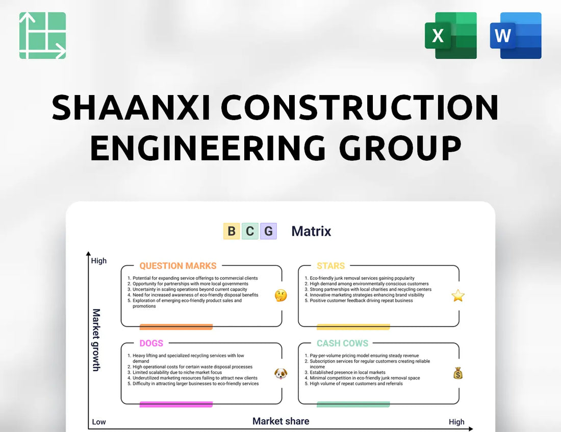 Shaanxi Construction Engineering Group Boston Consulting Group Matrix