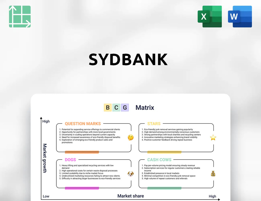 Sydbank Boston Consulting Group Matrix