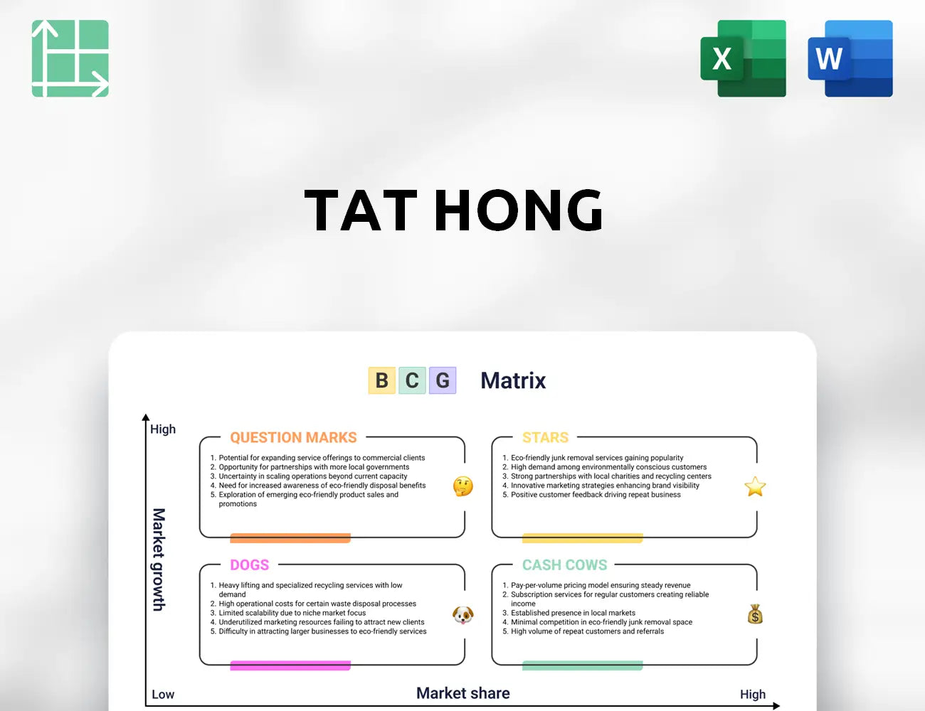 Tat Hong Boston Consulting Group Matrix