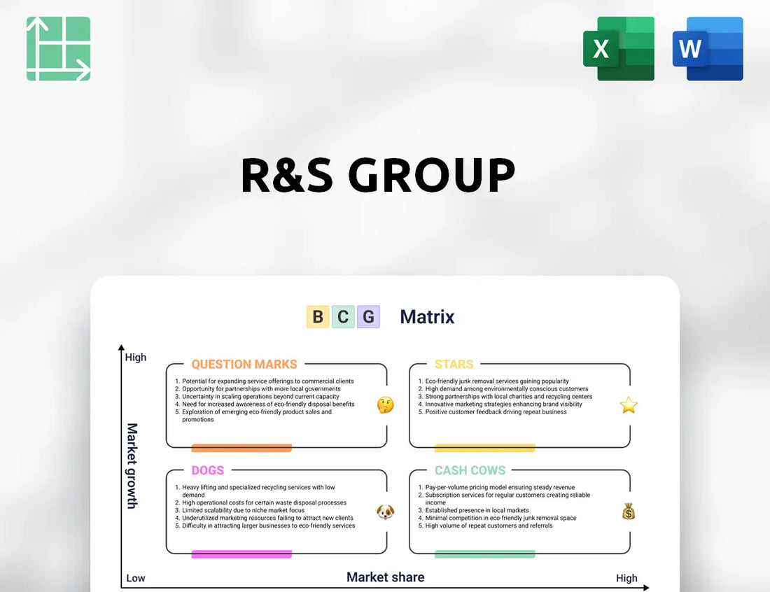 R&S Group Boston Consulting Group Matrix