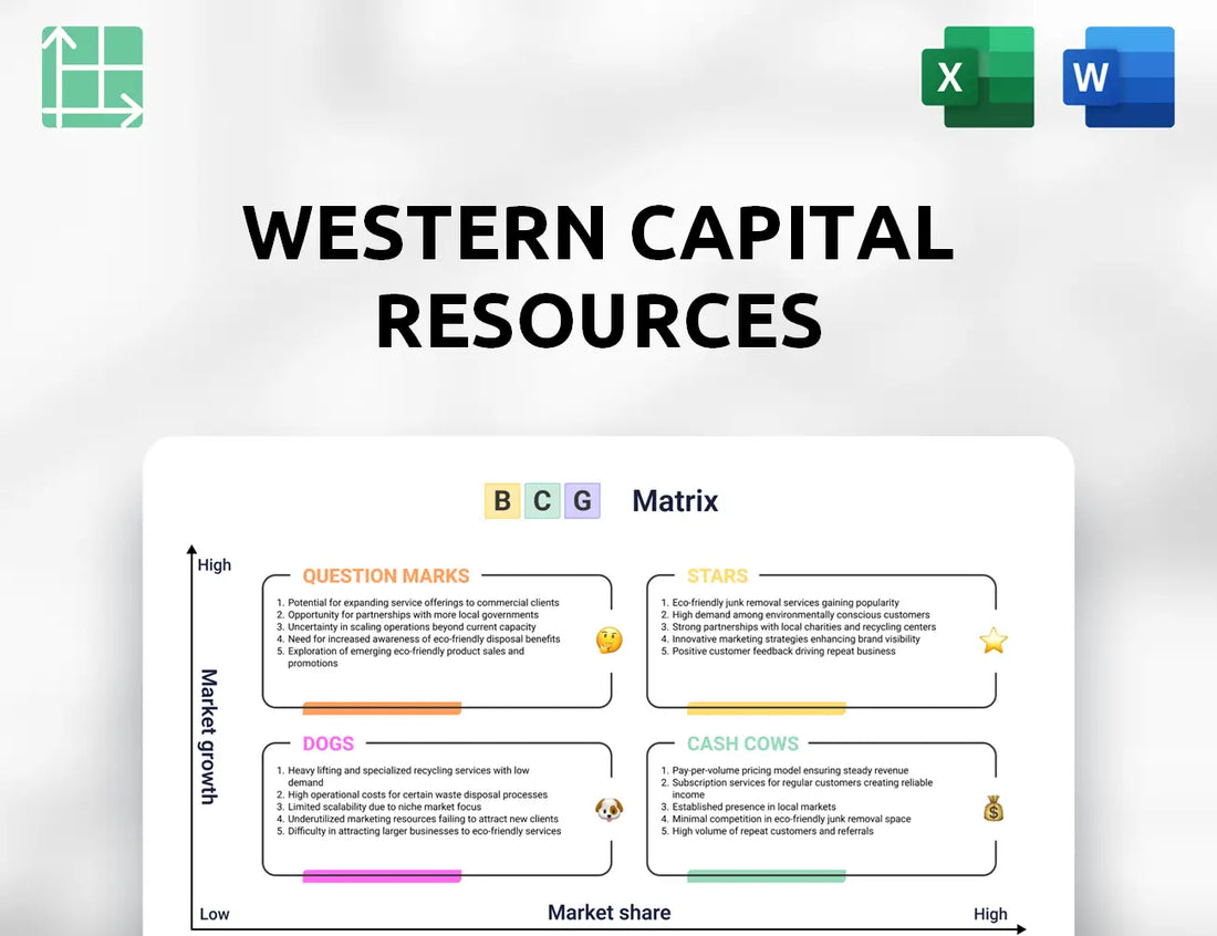 Western Capital Resources Boston Consulting Group Matrix