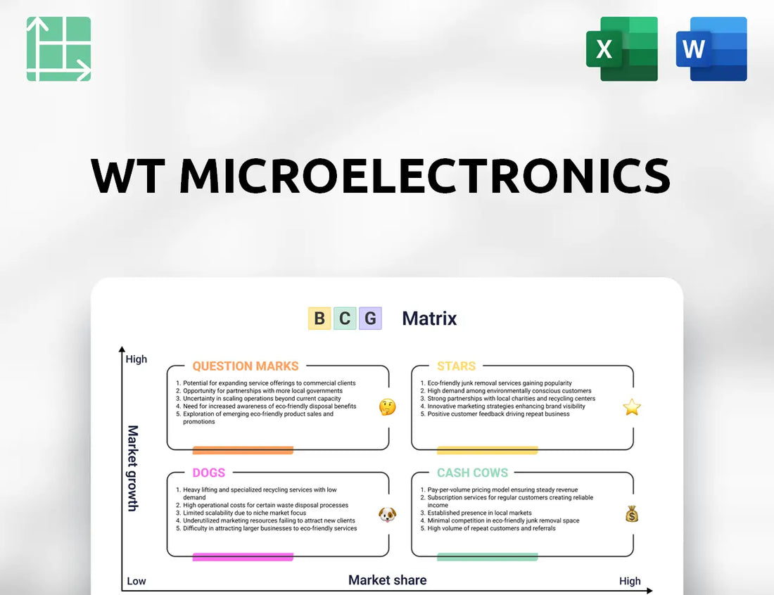 WT Microelectronics Boston Consulting Group Matrix